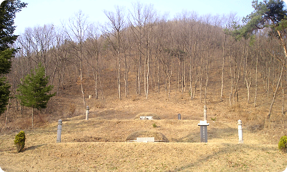 할아버지와 아버지 묘소 전경 A panoramic view of poet Cho's grandfather's and father's graves